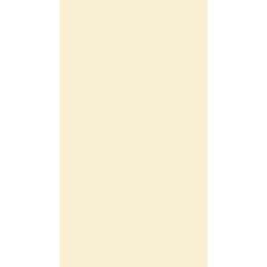 Revestimento Tradizionale Beige Retificado 32x60cm - Biancogres
