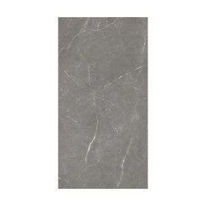 Porcelanato Polido Retificado 60x119cm Roma Gris GAUDI