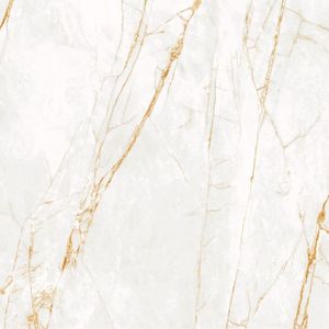 Porcelanato Golden Fantasy WH  Retificado 120X120 CEUSA