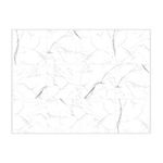 Porcelanato Acetinado Retificado 70x70cm Carrara DELTA