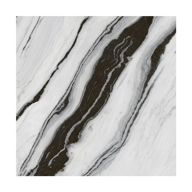 Porcelanato Acetinado Retificado 81x81cm Calacata Nero GAUDI